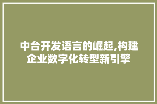 中台开发语言的崛起,构建企业数字化转型新引擎