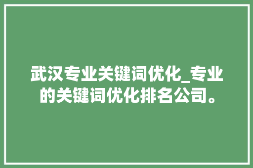 武汉专业关键词优化_专业的关键词优化排名公司。 武汉专业关键词优化_专业的关键词优化排名公司。 SEO关键词
