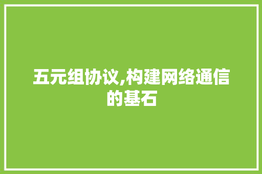 五元组协议,构建网络通信的基石