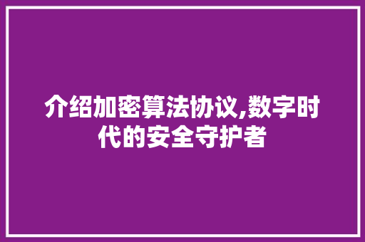 介绍加密算法协议,数字时代的安全守护者 必应SEO