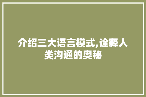 介绍三大语言模式,诠释人类沟通的奥秘 必应SEO