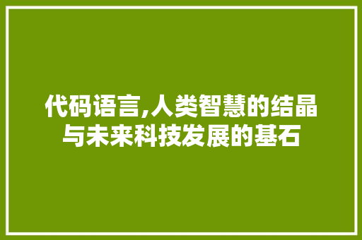 代码语言,人类智慧的结晶与未来科技发展的基石