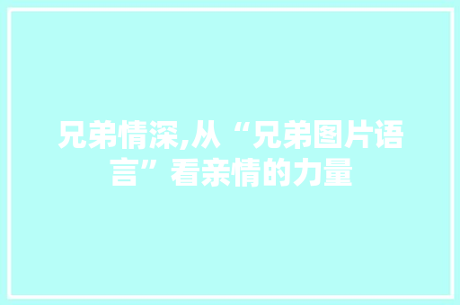 兄弟情深,从“兄弟图片语言”看亲情的力量 百度SEO
