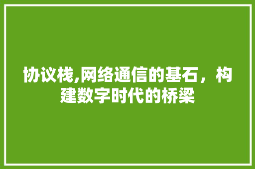 协议栈,网络通信的基石，构建数字时代的桥梁