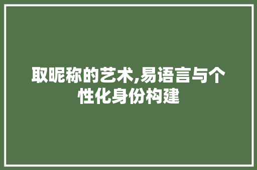 取昵称的艺术,易语言与个性化身份构建 神马SEO