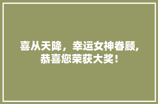 喜从天降，幸运女神眷顾,恭喜您荣获大奖！ 网站建设公司