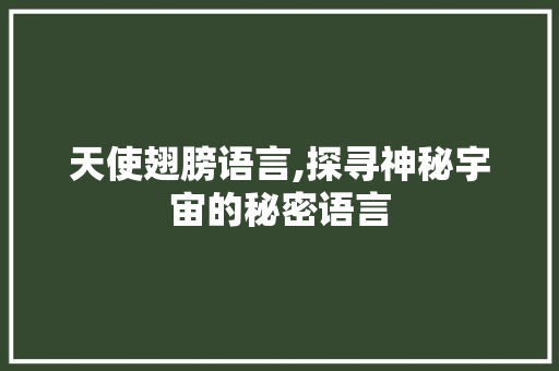 天使翅膀语言,探寻神秘宇宙的秘密语言 神马SEO