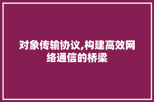 对象传输协议,构建高效网络通信的桥梁 必应SEO