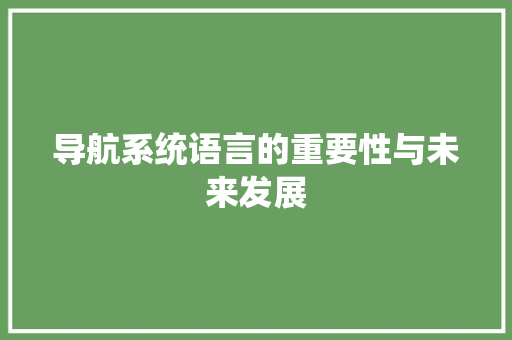 导航系统语言的重要性与未来发展 网站建设公司