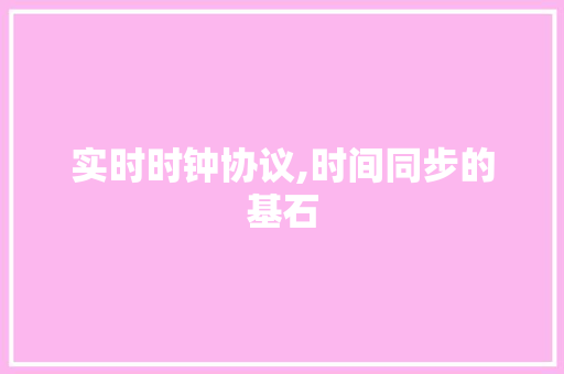 实时时钟协议,时间同步的基石 必应SEO