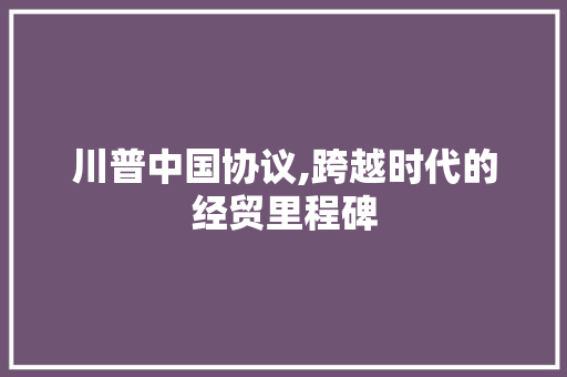 川普中国协议,跨越时代的经贸里程碑