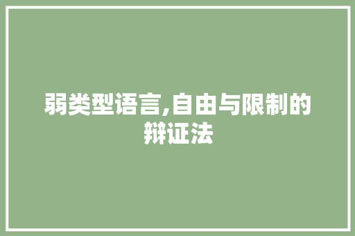 弱类型语言,自由与限制的辩证法