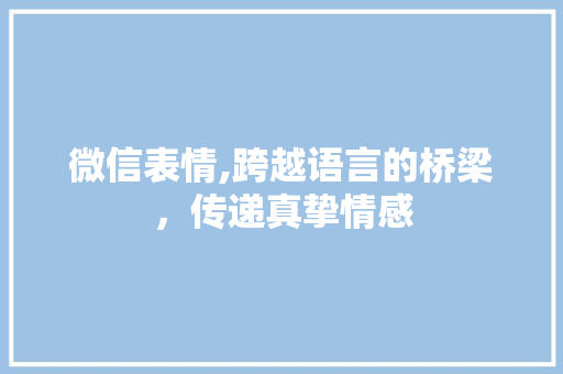 微信表情,跨越语言的桥梁，传递真挚情感 百度SEO