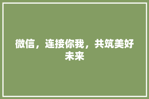 微信，连接你我，共筑美好未来