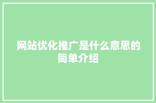 网站优化推广是什么意思的简单介绍 网站优化推广是什么意思的简单介绍 百度SEO