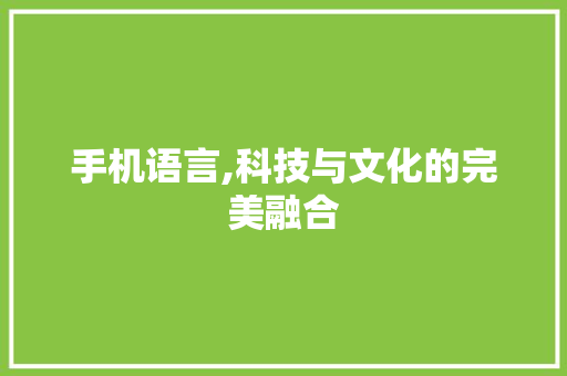 手机语言,科技与文化的完美融合 百度SEO