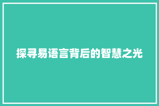 探寻易语言背后的智慧之光