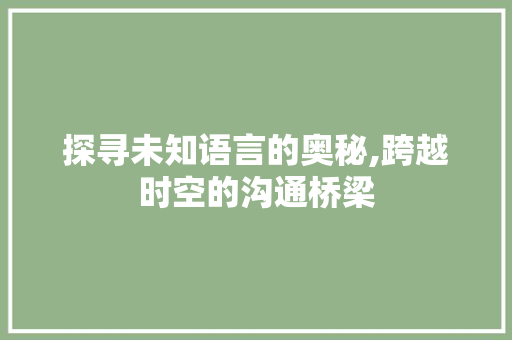 探寻未知语言的奥秘,跨越时空的沟通桥梁