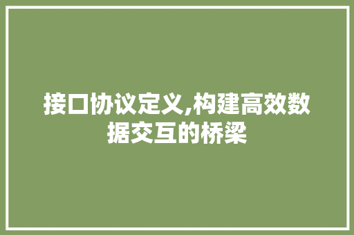 接口协议定义,构建高效数据交互的桥梁 必应SEO