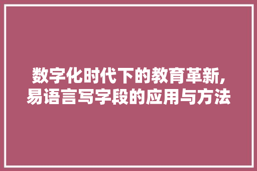 数字化时代下的教育革新,易语言写字段的应用与方法 神马SEO