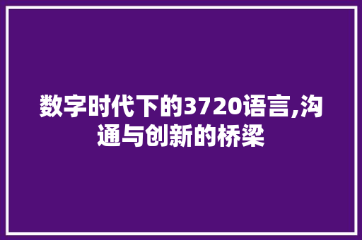 数字时代下的3720语言,沟通与创新的桥梁