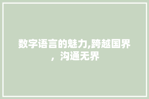数字语言的魅力,跨越国界，沟通无界 网站建设公司