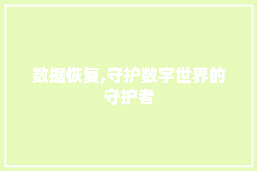 数据恢复,守护数字世界的守护者