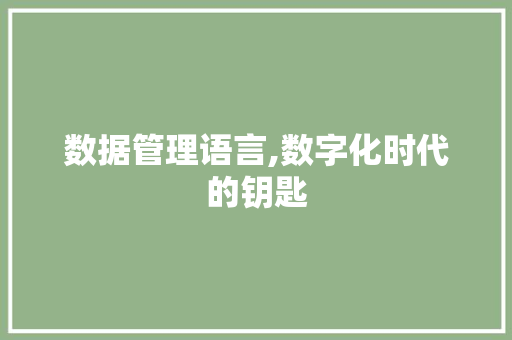 数据管理语言,数字化时代的钥匙