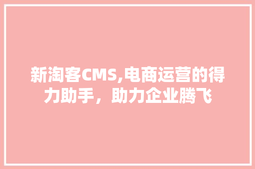 新淘客CMS,电商运营的得力助手，助力企业腾飞