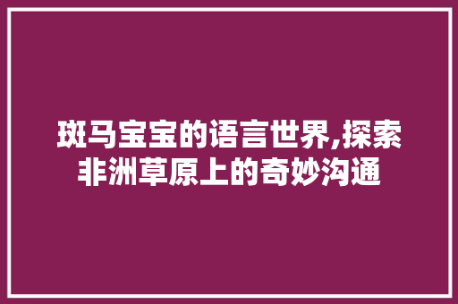 斑马宝宝的语言世界,探索非洲草原上的奇妙沟通