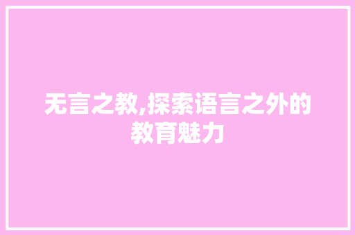 无言之教,探索语言之外的教育魅力 必应SEO