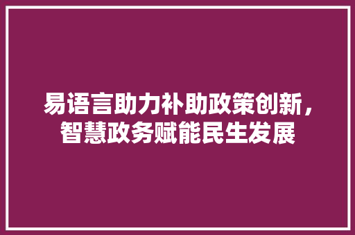 易语言助力补助政策创新，智慧政务赋能民生发展