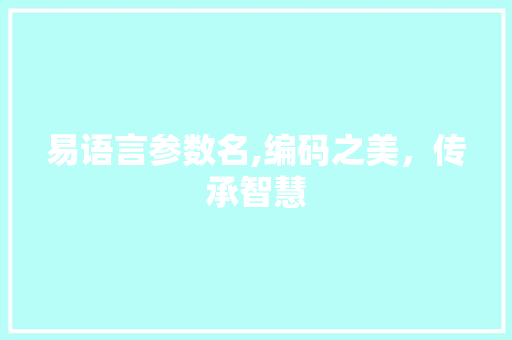 易语言参数名,编码之美，传承智慧