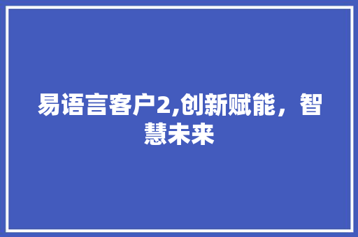 易语言客户2,创新赋能，智慧未来