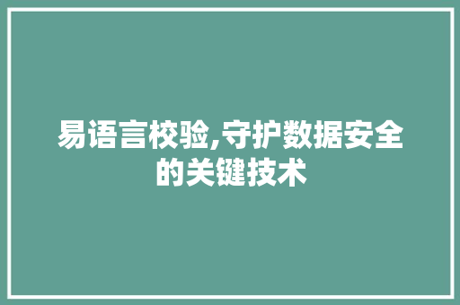 易语言校验,守护数据安全的关键技术