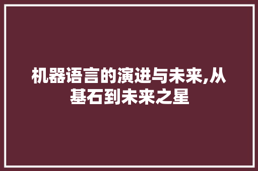 机器语言的演进与未来,从基石到未来之星