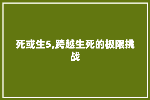 死或生5,跨越生死的极限挑战