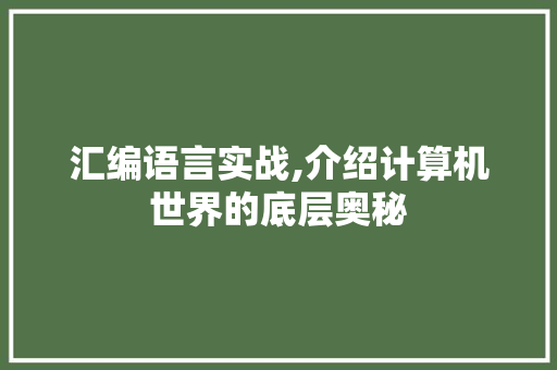 汇编语言实战,介绍计算机世界的底层奥秘