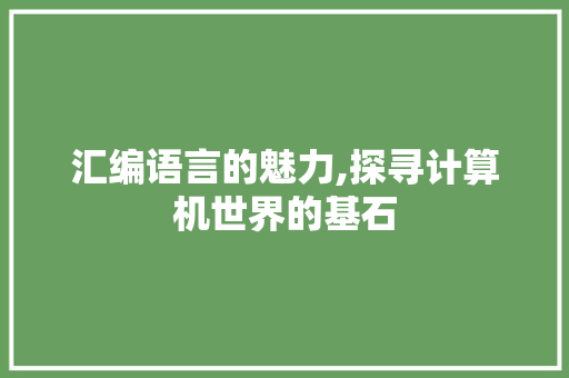 汇编语言的魅力,探寻计算机世界的基石