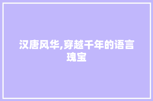汉唐风华,穿越千年的语言瑰宝