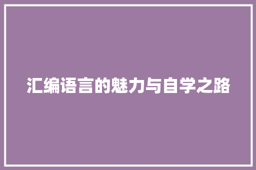 汇编语言的魅力与自学之路