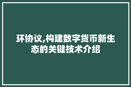 环协议,构建数字货币新生态的关键技术介绍 必应SEO 环协议,构建数字货币新生态的关键技术介绍 必应SEO