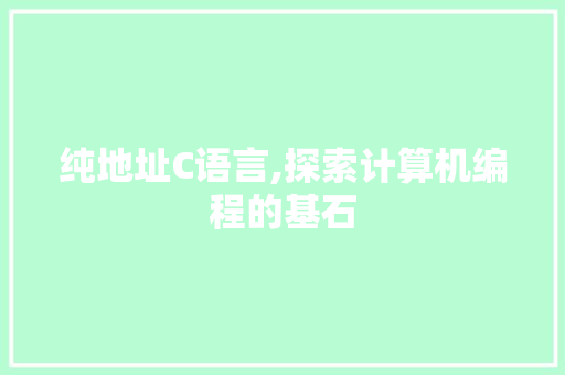 纯地址C语言,探索计算机编程的基石