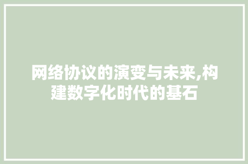网络协议的演变与未来,构建数字化时代的基石