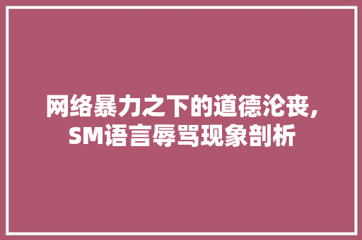 网络暴力之下的道德沦丧,SM语言辱骂现象剖析