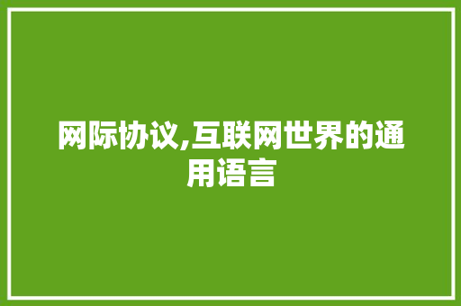网际协议,互联网世界的通用语言
