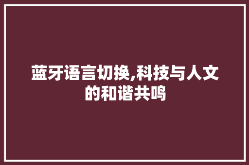 蓝牙语言切换,科技与人文的和谐共鸣 网站建设公司