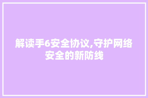 解读手6安全协议,守护网络安全的新防线
