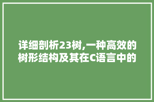 详细剖析23树,一种高效的树形结构及其在C语言中的应用