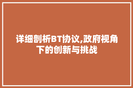 详细剖析BT协议,政府视角下的创新与挑战